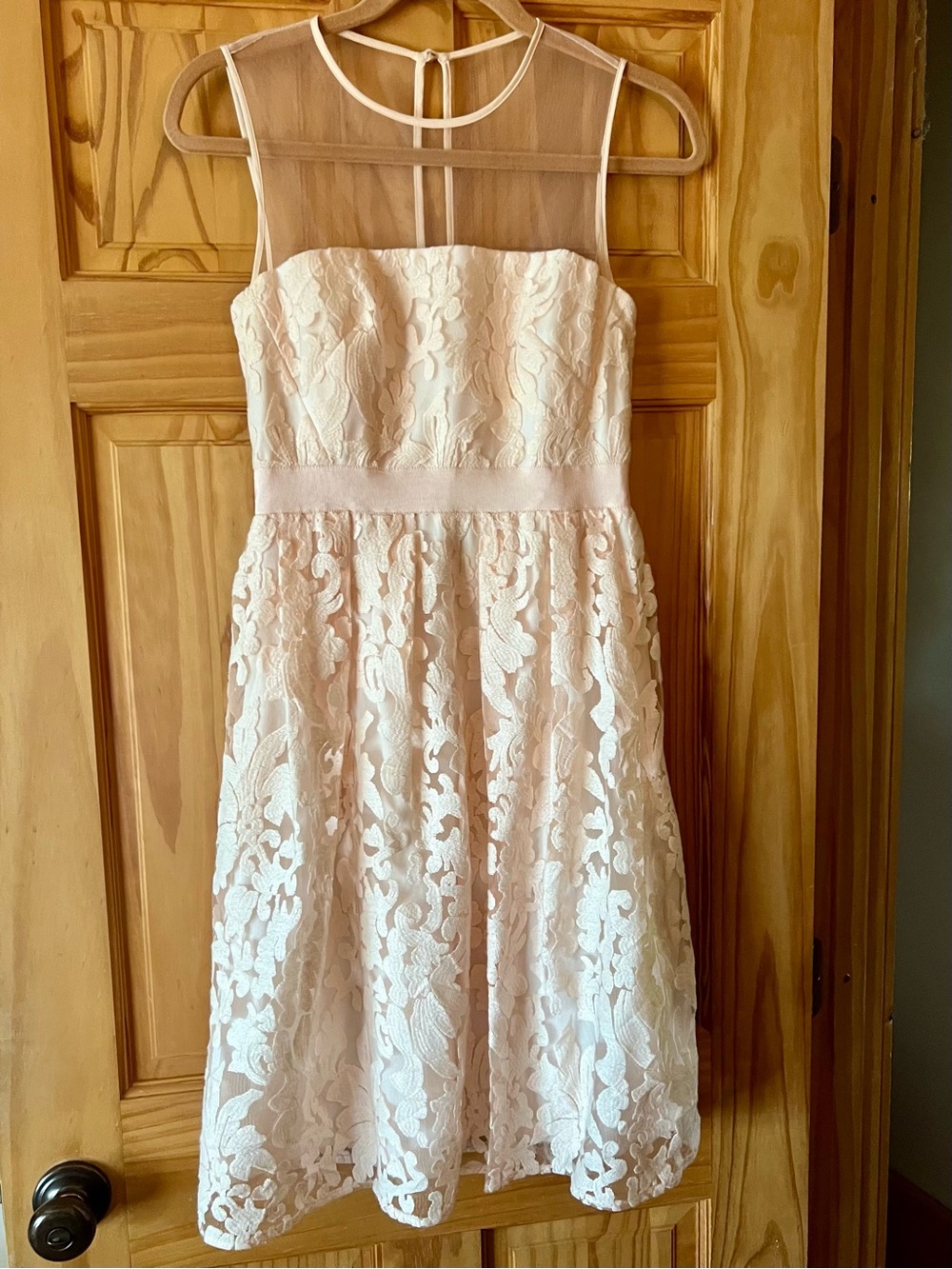 Maggy London Blush Lace Illusion Midi Dress